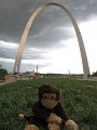 STL_Downtown-7-2016 (11)